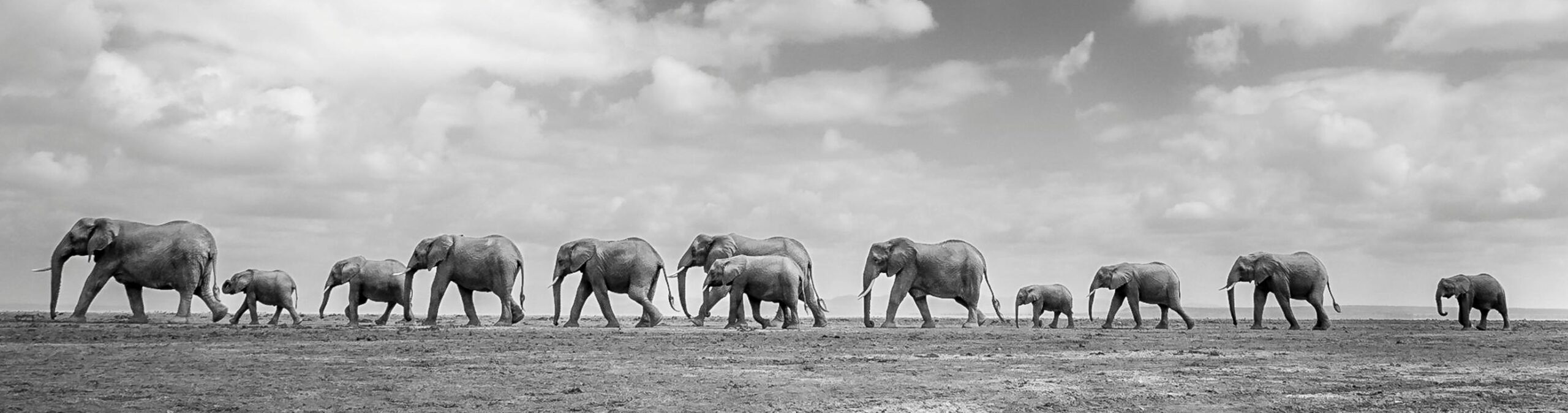 Manage Risk With Intention This Year