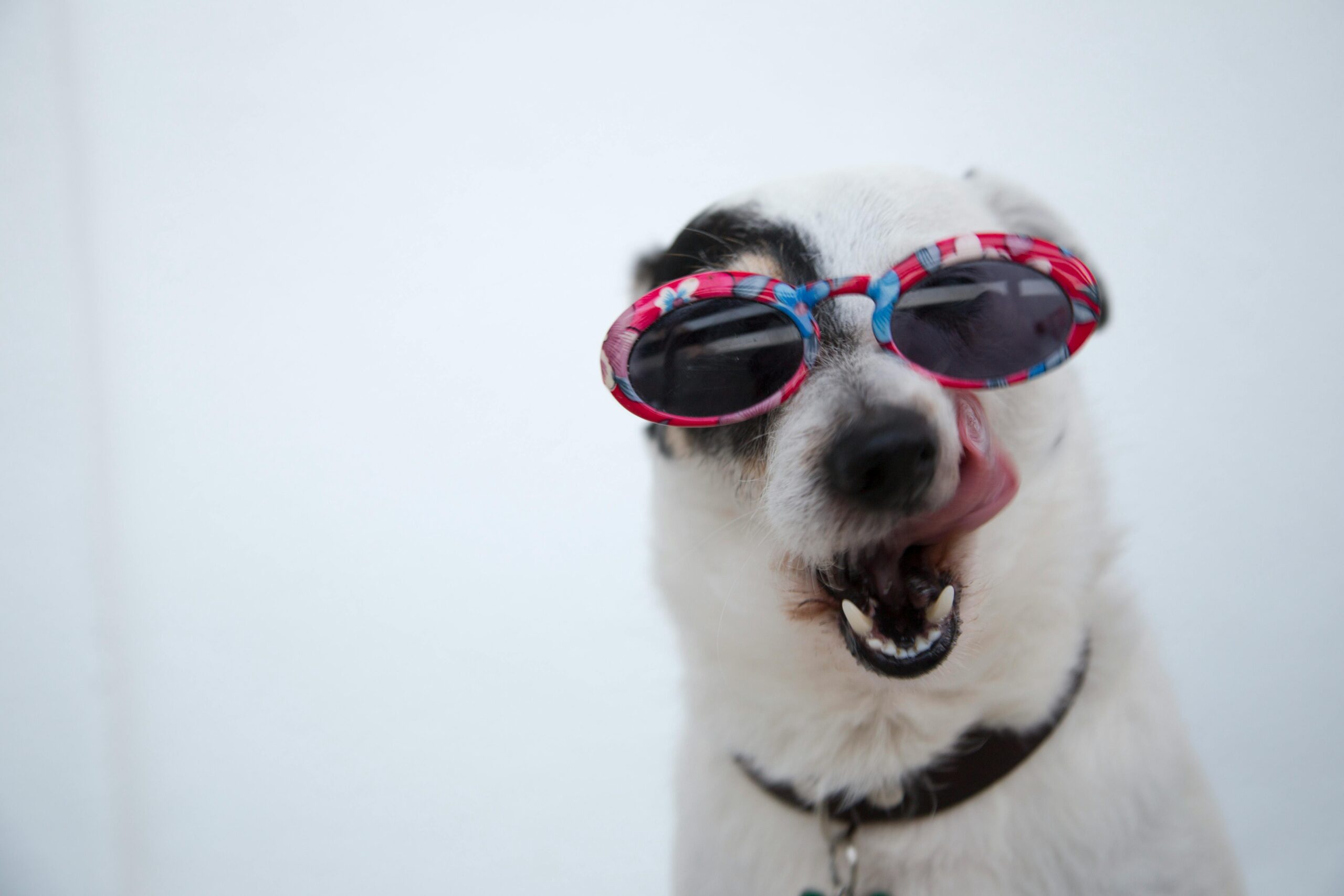 The Lighter Side of Risk Management